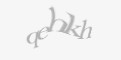 Защитный код